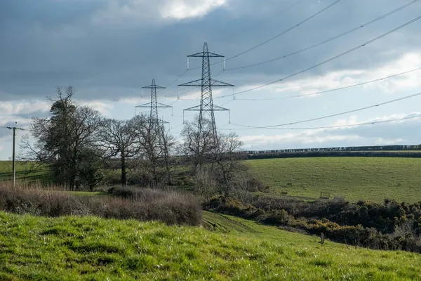Pylons crossing green fields